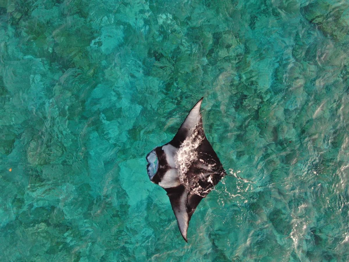Готель Thoddoo Island Life Екстер'єр фото